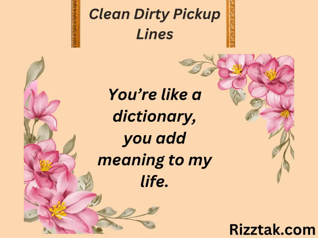 Clean Dirty Pickup Lines