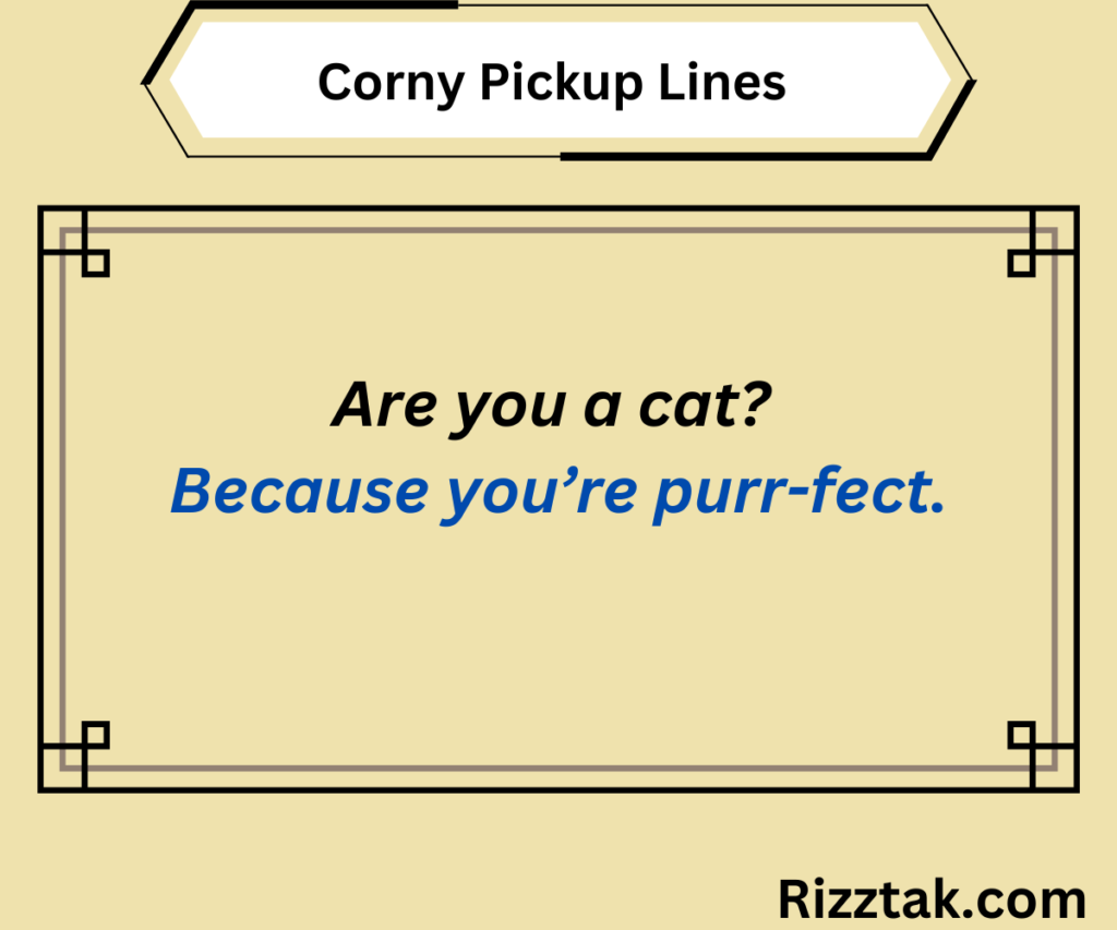 Corny Pickup Lines