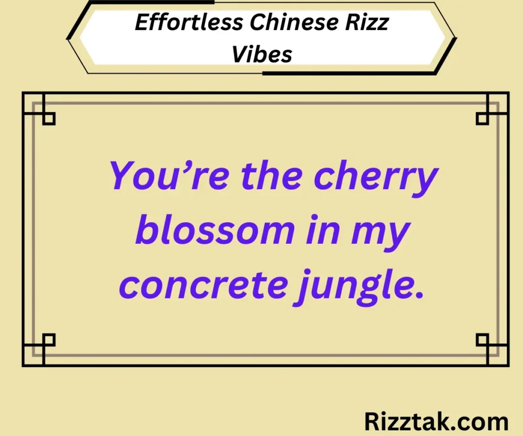 Effortless Chinese Rizz Vibes