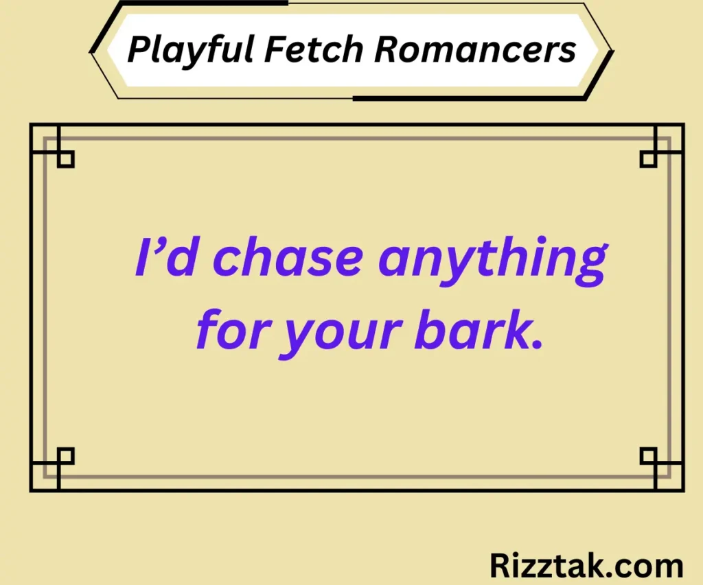 Playful Fetch Romancers