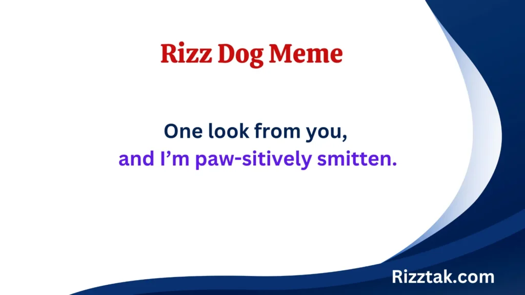 Rizz Dog Meme