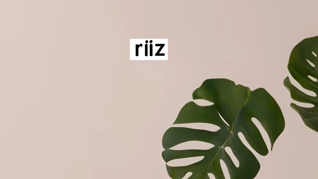 Qué Significa Rizz