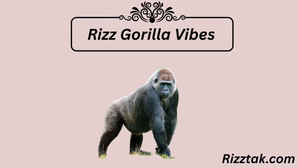 Rizz Gorilla Vibes