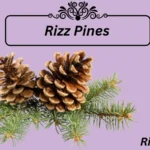 Rizz Pines
